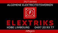 Logo Elextriks Limbourg